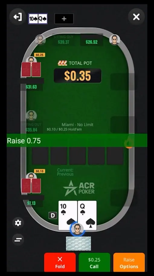 ACR Poker bot screenshot