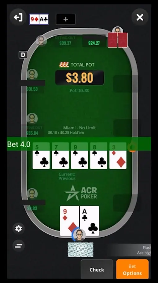 ACR Poker bot screenshot