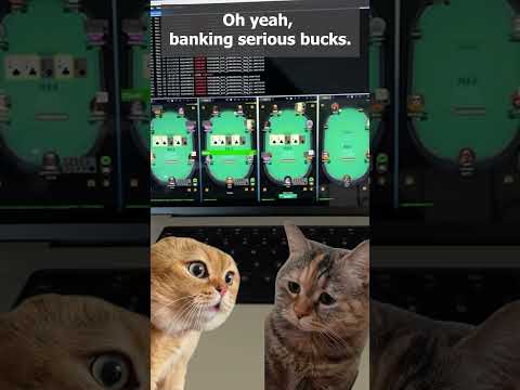 AI Poker Bots: Cats&#039; Chit-Chat | Surprise ENDING!